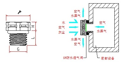 15333716878796141.jpg