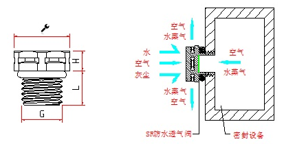 15333629119379240.png